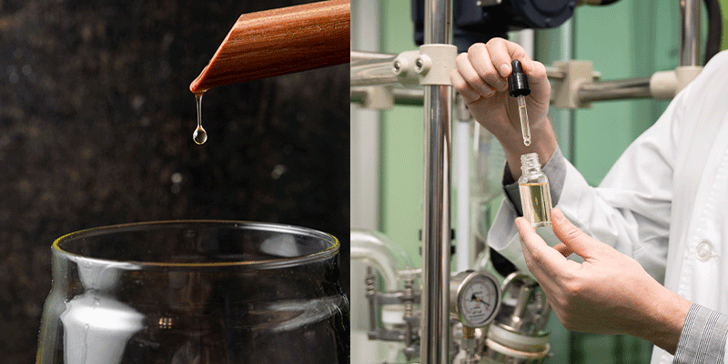 Los-diferentes_métodos_de_producción_del_AOVE