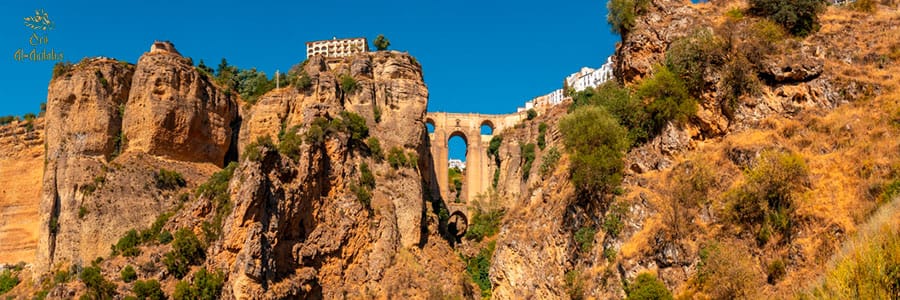 Cómo-se-mide-la-calidad-del-Aceite-de-Oliva