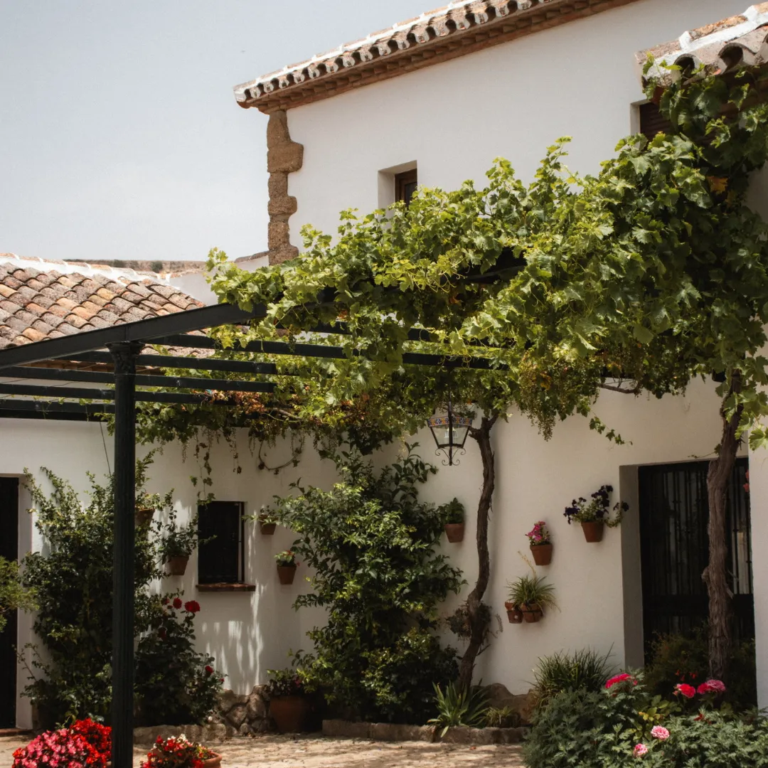 Traditional Andalusian courtyard at El Chantre estate in Ronda, with a lush vine pergola, flower pots on whitewashed walls and blooming geraniums