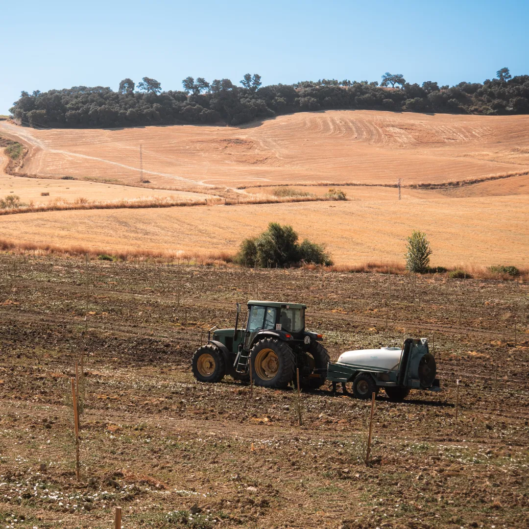 Tractor with water tank working the fields at El Chantre estate in Ronda, Málaga, with vast golden Andalusian countryside and oak trees in the background